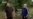 16x9 Image