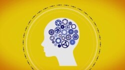 Бизнес-план: чем социальный бизнес отличается от обычного Бизнес-план: чем социальный бизнес отличается от обычного