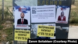 Выборы в Крыму