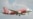 На борту пропавшего с радаров самолета AirAsia был 161 человек