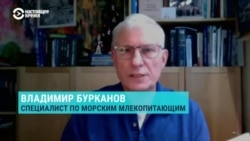 Бурканов: "Вопрос рыболовства очень политизирован" Бурканов: "Вопрос рыболовства очень политизирован"