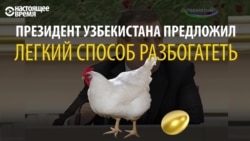 Куриная экономика президента Узбекистана Куриная экономика президента Узбекистана