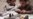 16x9 Image