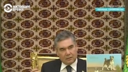 "Связь времен – туркменский алабай": Бердымухамедов воспел в стихах местных собак "Связь времен – туркменский алабай": Бердымухамедов воспел в стихах местных собак