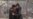 16x9 Image