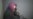 16x9 Image
