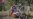 16x9 Image