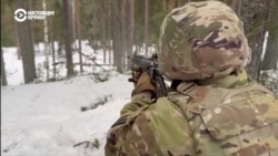 В Финляндии недалеко от границы с Россией проходят учения НАТО – военных тренируют в условиях экстремальных арктических морозов В Финляндии недалеко от границы с Россией проходят учения НАТО – военных тренируют в условиях экстремальных арктических морозов