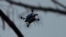 Ukraine--Kurakhiv direction, fpv drones, 148th separate artillery brigade