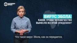 Какие уроки человечество вынесло после вспышки Эболы Какие уроки человечество вынесло после вспышки Эболы