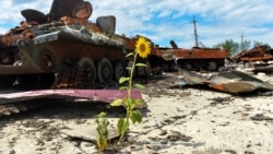 Уничтоженная российская военная техника на территории сельскохозяйственной фермы в Харьковской области, 17 июля 2022 года